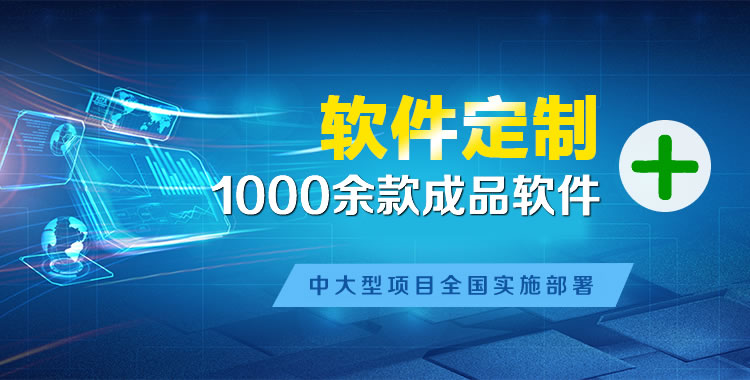 龙游软件开发